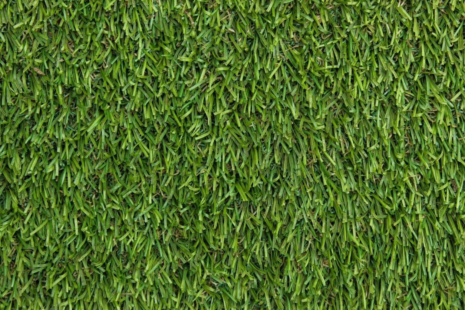 Refreshed green turf after cleaning and deodorizing