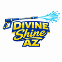 Divine Shine AZ logo